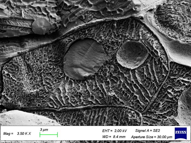 Cryo-MEB : cryo-fracture de carotte