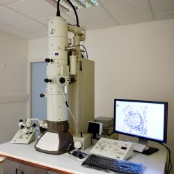 Microscope électronique à transmission