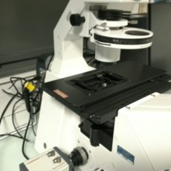 Microscope Inversé