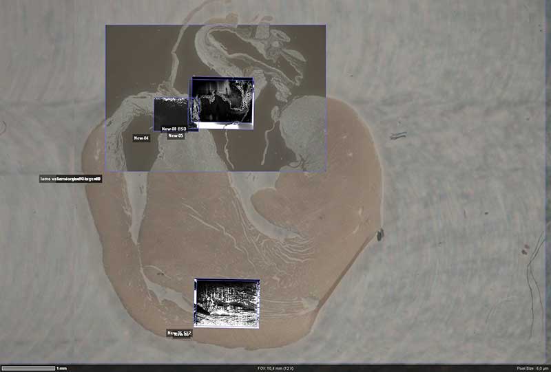 Microscopie corrélative